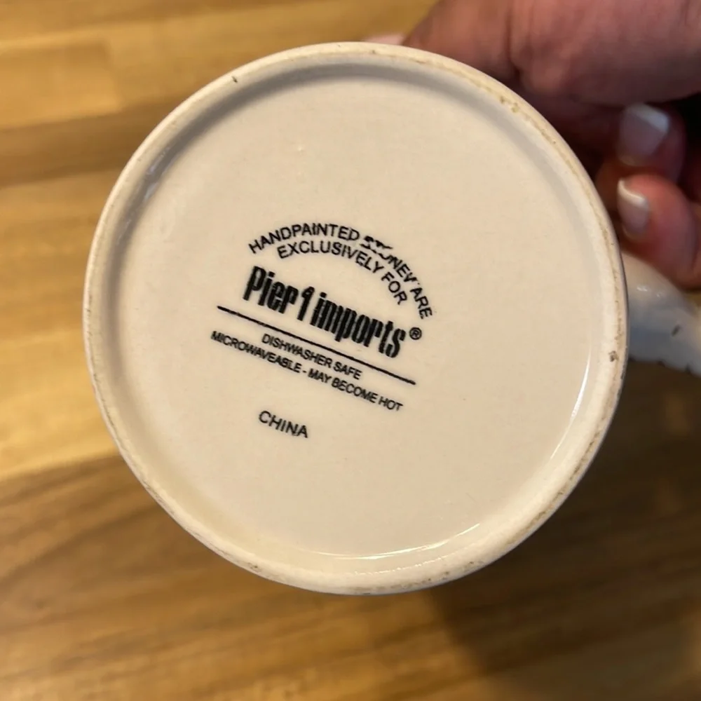 PIER 1 IMPORTS ⭐️ zebra  mug